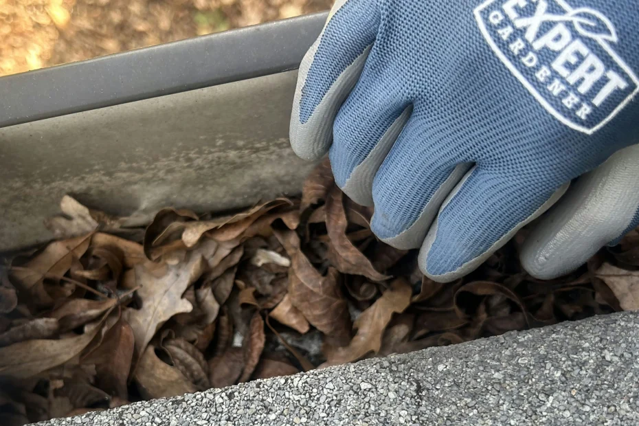 Gutter Cleaning Hilshire Village, TX